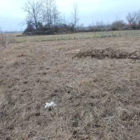 ۲۷۰متر زمین کشاورزی