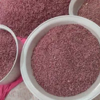 زرشک تازه ارگانیک