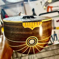 سه‌تار حرفه‌ای