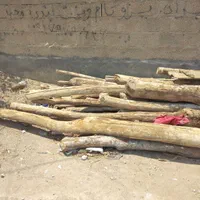 چوب سقف خانه، گز وچنار