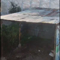 داربست وحلب