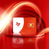 دو عدد سیمکات رند دائمی آپتل