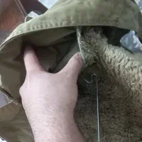 کاپشن|لباس|نیشابور, گنبد سبز|دیوار