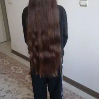 خریدار موی طبیعی و رنگی با قیمت بالا