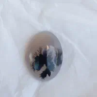 نقیم شجر|جواهرات|جوانرود, |دیوار