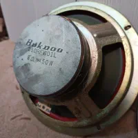 بلنگو باند خانگی 10اینچ|سیستم صوتی خانگی|تهران, دکتر هوشیار|دیوار