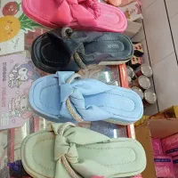 دنپایی مجلسی