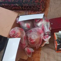وسایل یاماها سوپر ۱۲۵|قطعات یدکی و لوازم جانبی|شیراز, ده پیاله|دیوار