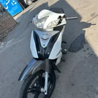 ویو پانیک 1394