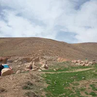 حرص کردن وباغبانی