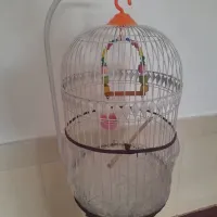 قفس پرنده ایستاده