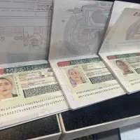 اخذ ویزا برزیل گارانتی|خدمات حمل و نقل|تهران, سید خندان (جلفا)|دیوار