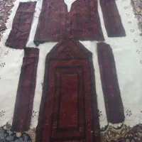 زی جوکی تارکش