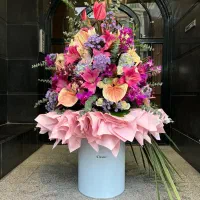 گل و گل ارایی|خدمات پذیرایی، مراسم|تهران, قیطریه|دیوار