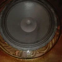 ساپ یا باند بزرگ