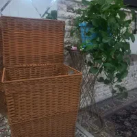 سبد کاربردی،و دستبافت|ظروف سرو و پذیرایی|چهاردانگه (تهران), |دیوار