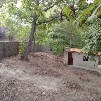 فروشنده صددرصد ۱۰۰|فروش زمین و ملک کلنگی|لواسان, |دیوار