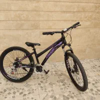 دوچرخه دنده کوهستان ( حرفه ای )