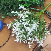 خدمات داوطلبانه