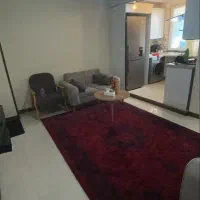 ۴۵متر/تک خواب/امکانات دار/سی متری جی|اجارهٔ آپارتمان|تهران, جی|دیوار
