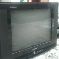 تلویزیون