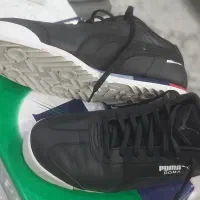 کتونی پوما اورجینال