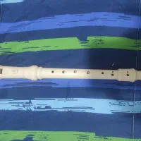 فلوت برند یاماها|سازهای بادی|فردیس, خیام شرقی|دیوار