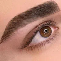 مدل رایگان میکروبلیدینگ و میکروپیگمنتیشن|خدمات آرایشگری و زیبایی|تهران, شهرک ولیعصر جنوبی|دیوار