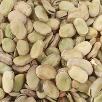 باقالی خشک طارم