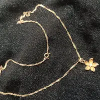 طلا کاملا نو|جواهرات|شهرکرد, |دیوار