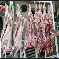 گوشت گوسفند