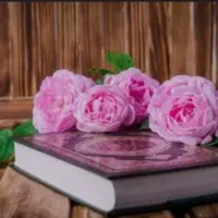 سرکتاب دعافال سیده