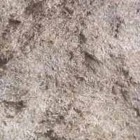درختکاری و باغبانی