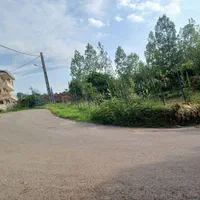 زمین‌جنگلی‌‌در‌قطعات‌مختلف سراوان/ کچا‌/جوکلبندان|فروش زمین و ملک کلنگی|سنگر, |دیوار