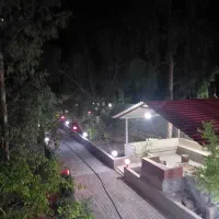 باغ سند دار ملکی|فروش زمین و ملک کلنگی|طسوج, |دیوار