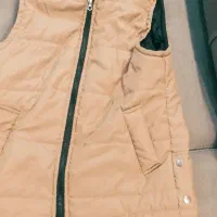 دو عدد پافر نو