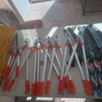 اجرای فضای سبز|خدمات باغبانی و درختکاری|کرج, کیانمهر|دیوار