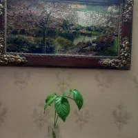 یک عدد تابلو فرش منظره سالم و بدون پارگی