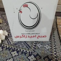 فروش تخم مرغ