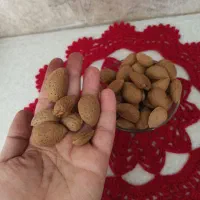 محصولات خانگی ارگانیک رب ۱۳۰ .بادام ۳۲۰ ترشی|عمده‌فروشی|بیجار, |دیوار
