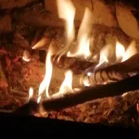 هیزم شومینه