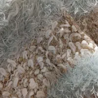 شومیز بافت|لباس|محمدشهر, شهرک پیام (مهرالبرز)|دیوار