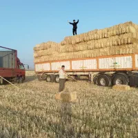 پرس کاه گندم جو پخل پوخل کلش کولش