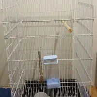 آشیانه پرندگان