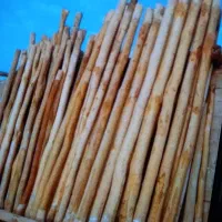 انواع خرید و فروش چوب با بهترین قیمت خریدارم