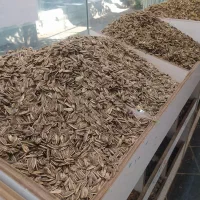 تخمه گل افتاب و کدو|خوردنی و آشامیدنی|اصفهان, جلالیه|دیوار