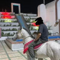 اسب