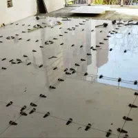 گچکاری کاشیکاری بناهمه کاره تخریب کاری بازسازی