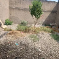 ۲ درب مغازه تجاری  کل زمین ۱۴۰ متربراصلی جلال اباد|فروش مغازه و غرفه|آزادشهر, |دیوار