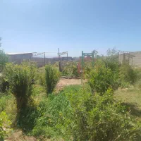 فروش ۲۸۰۰متر باغ و دامداری در تربت جام|فروش دفتر صنعتی، کشاورزی، تجاری|تربت جام, میان جام|دیوار